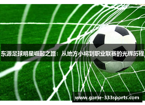东源足球明星崛起之路：从地方小将到职业联赛的光辉历程