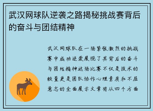 武汉网球队逆袭之路揭秘挑战赛背后的奋斗与团结精神